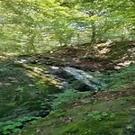 Harz-kurzurlaub In Lonau Nyaraló Herzberg am Harz
