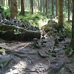 Harz-kurzurlaub In Lonau *