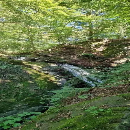 Harz-kurzurlaub In בית נופש Lonau