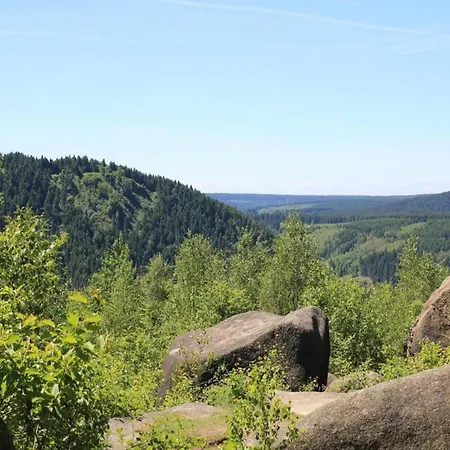 Harz-kurzurlaub In Lonau