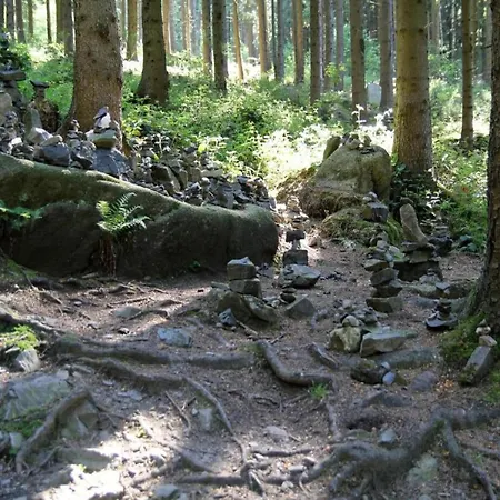 Harz-kurzurlaub In Lonau *