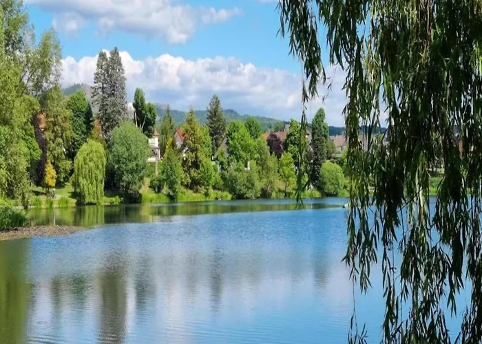 Harz-kurzurlaub In Dom wakacyjny Lonau