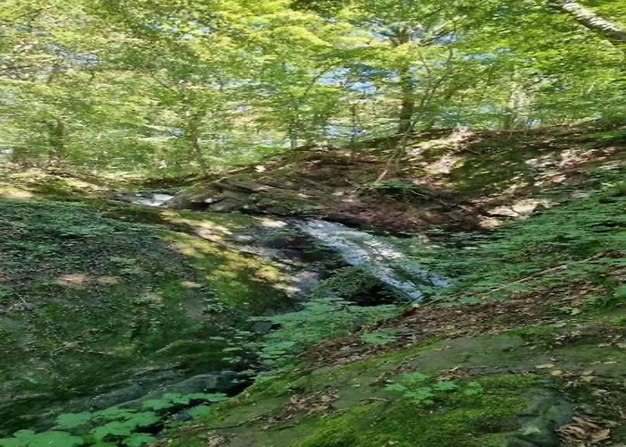 Harz-kurzurlaub In Dom wakacyjny Lonau